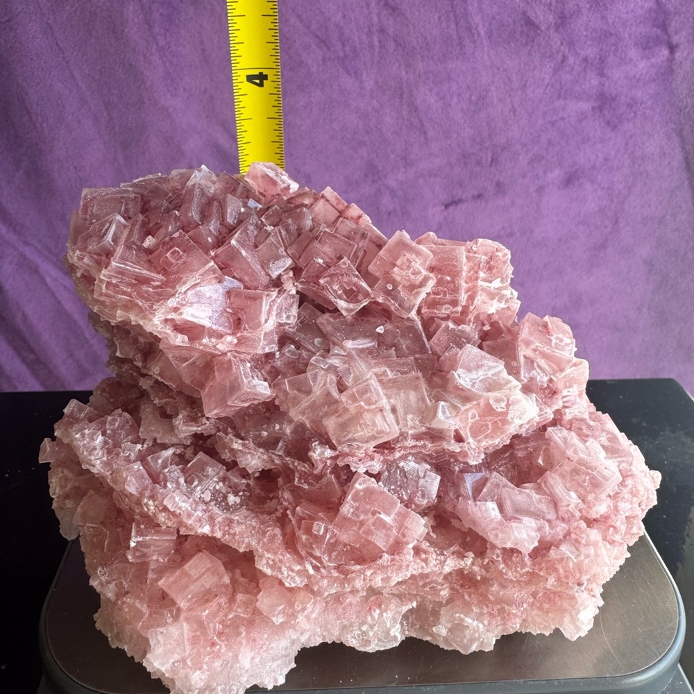 Pink Halite (Searles Lake, California) - Picture 3 of 8
